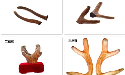 肾衰竭身上会痒么吗-肾衰竭身上会痒么网 - 网站提供肾衰竭一直发痒能活多久小常识、肾衰竭皮肤会瘙痒吗