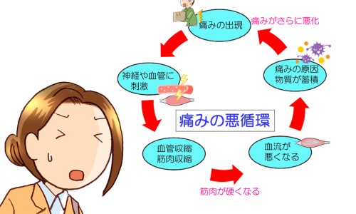 肾衰竭皮肤会瘙痒吗-肾衰竭身上会痒么网 - 网站提供肾衰竭一直发痒能活多久小常识、肾衰竭皮肤会瘙痒吗