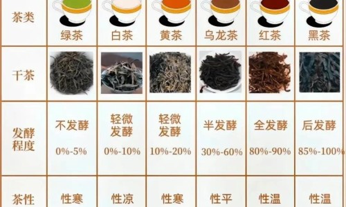 肾衰竭身上会痒么吗-肾衰竭身上会痒么网 - 网站提供肾衰竭一直发痒能活多久小常识、肾衰竭皮肤会瘙痒吗