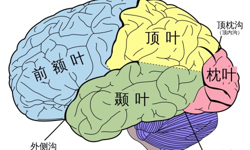 肾衰竭病人身上痒图片-肾衰竭身上会痒么网 - 网站提供肾衰竭一直发痒能活多久小常识、肾衰竭皮肤会瘙痒吗